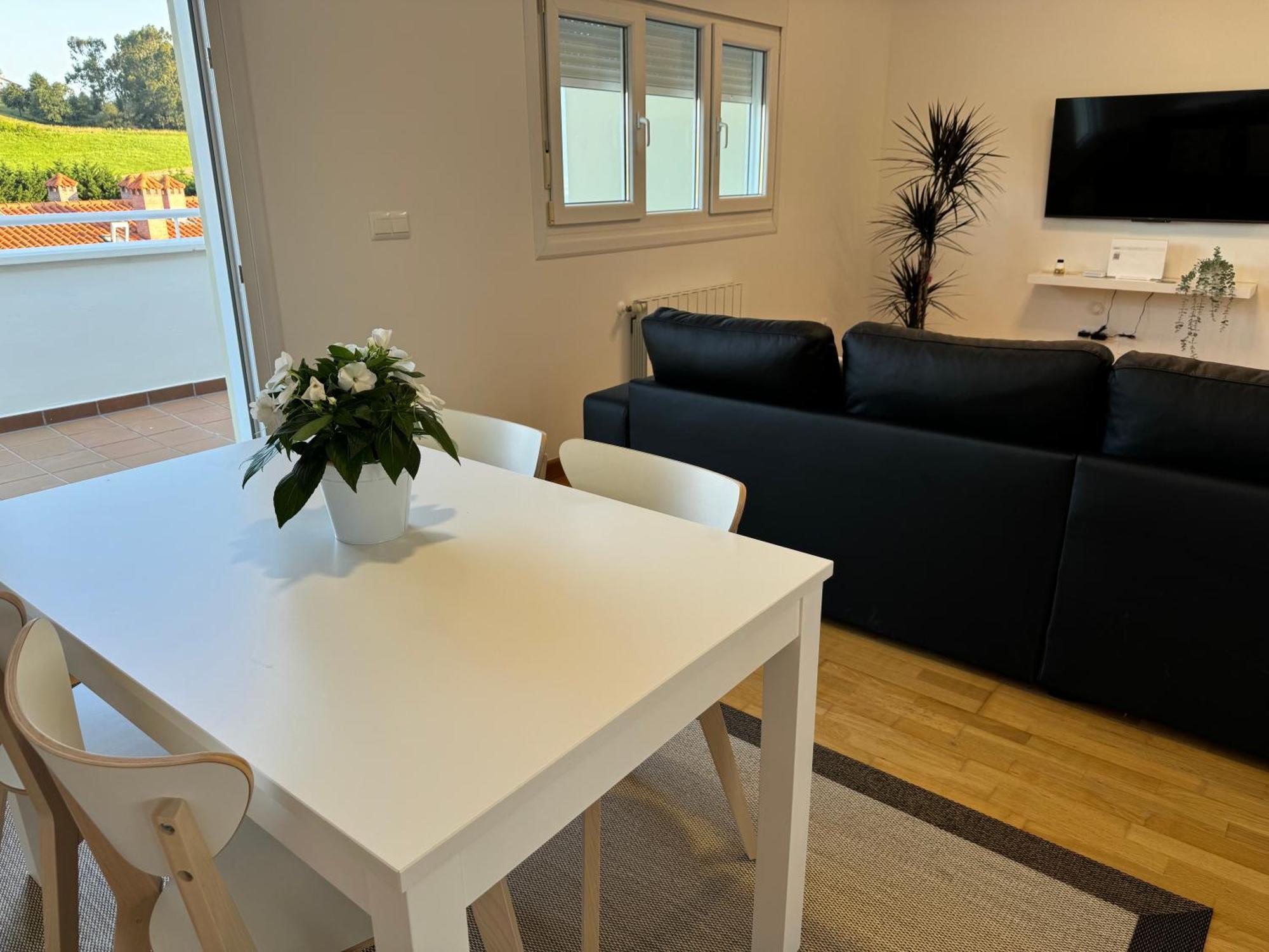 Apartment Olga Cantabria 2